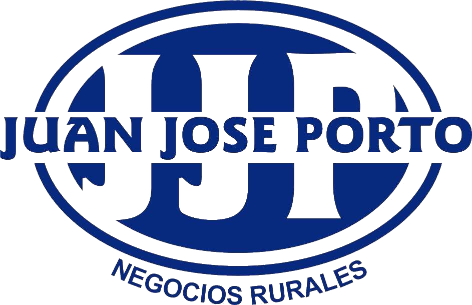 Juan José Porto